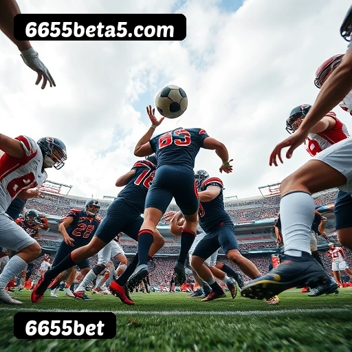 Níveis do programa VIP da 6655bet